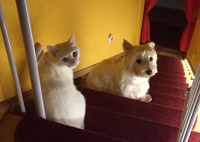 Schuetzenhaus Bruck (Brandenburg)